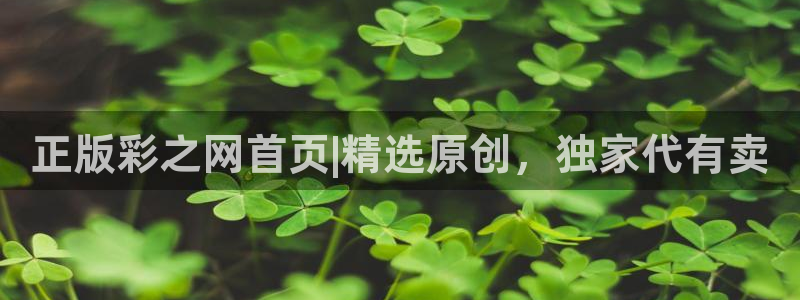 正版彩之网首页|精选原创，独家代有卖