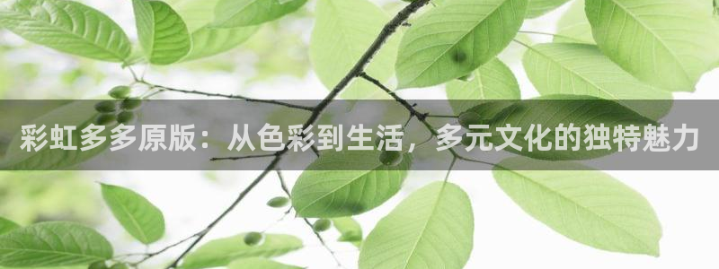 2元网河南二十二：彩虹多多原版：从色彩到生活，多元文化的独特魅力