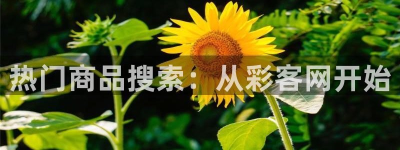 2元网河南二十二选五：热门商品搜索：从彩客网开始