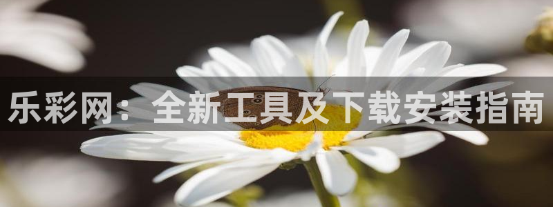 2元网河南二十二选五开奖号码：乐彩网：全新工具及下载安装指南