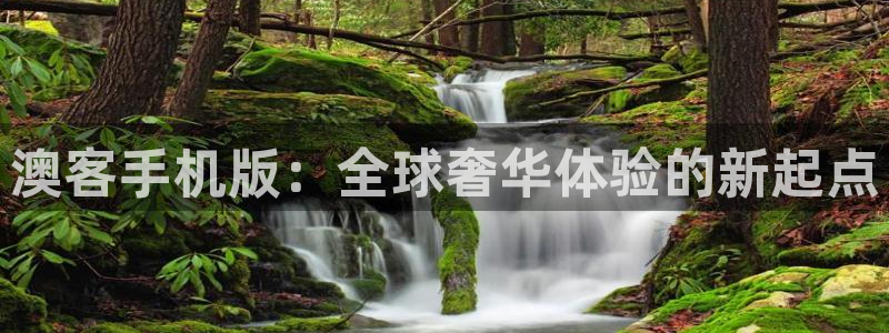 2元网走势图表：澳客手机版：全球奢华体验的新起点