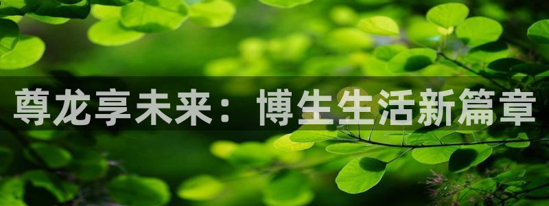 2元网走势图大全：尊龙享未来：博生生活新篇章